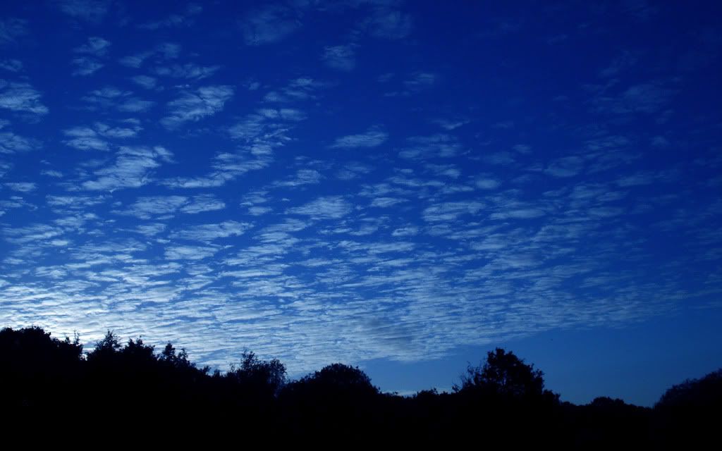286656047_a42bf64128_o.jpg