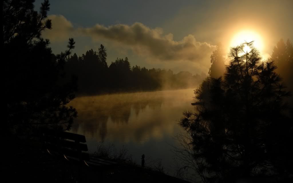 287711828_2d40f64b24_o.jpg