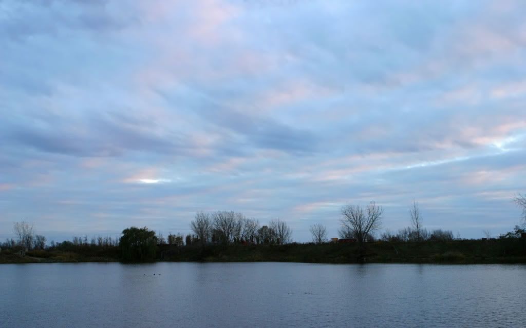 291255818_9104918b89_o.jpg