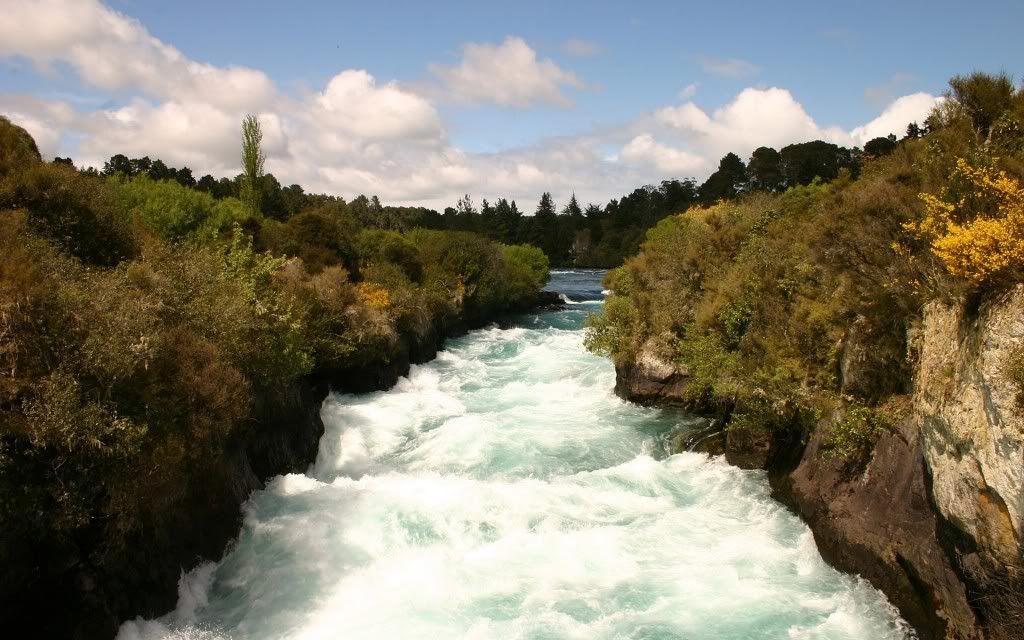 292241569_b494cbfb16_o-1.jpg