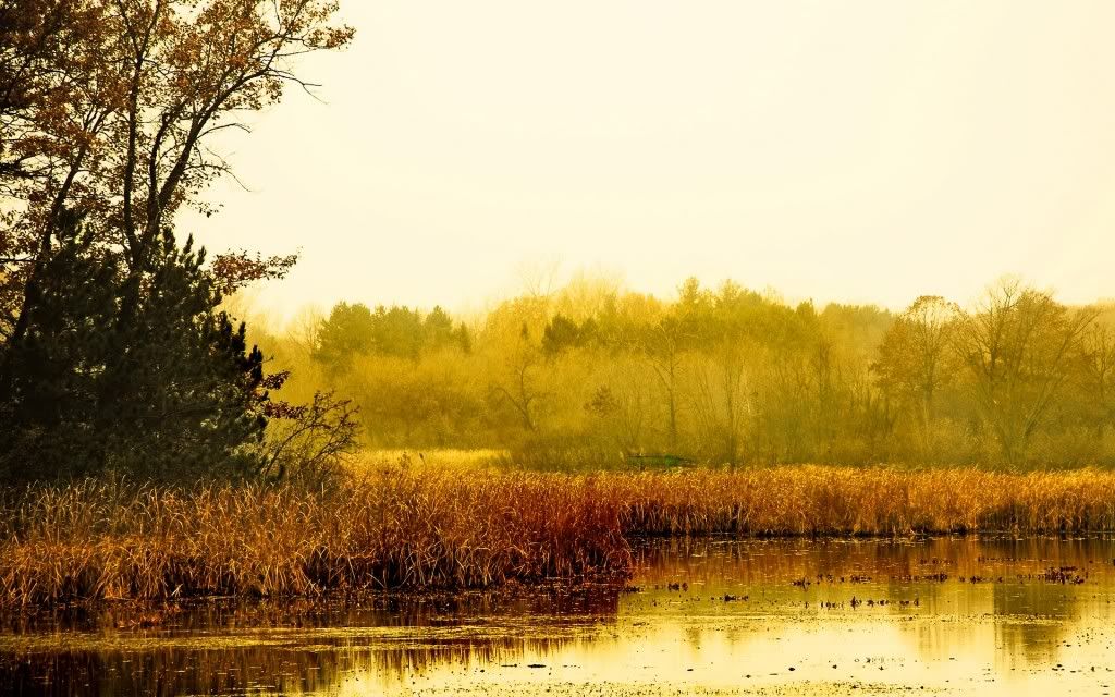 292494580_d4d26f7c45_o-2.jpg