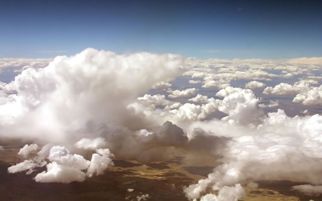292882442_e14a4a694d_o-2.jpg