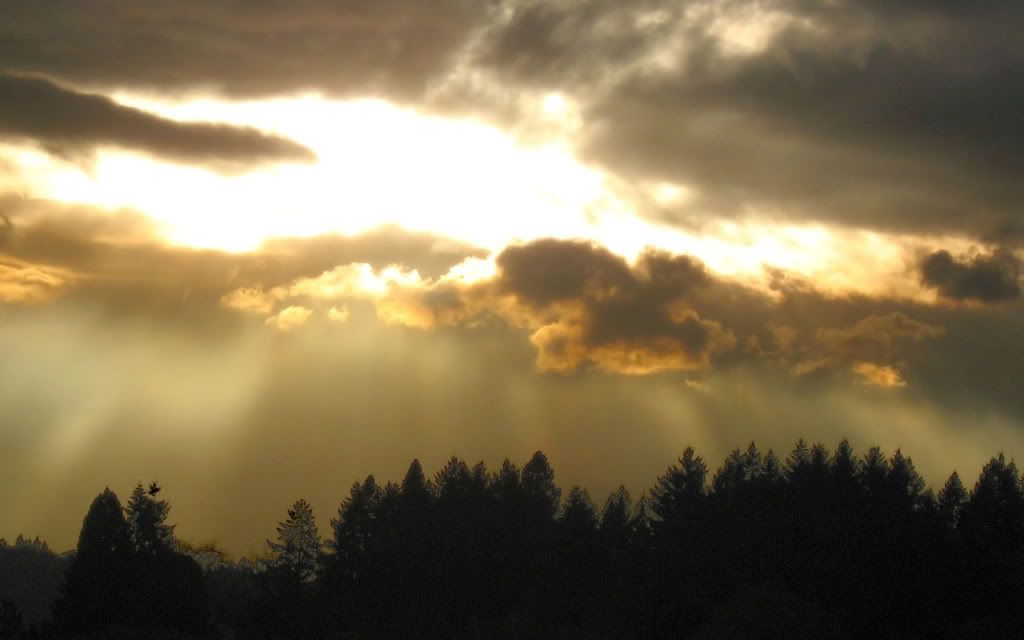 293689222_5ca6facf5b_o-2.jpg