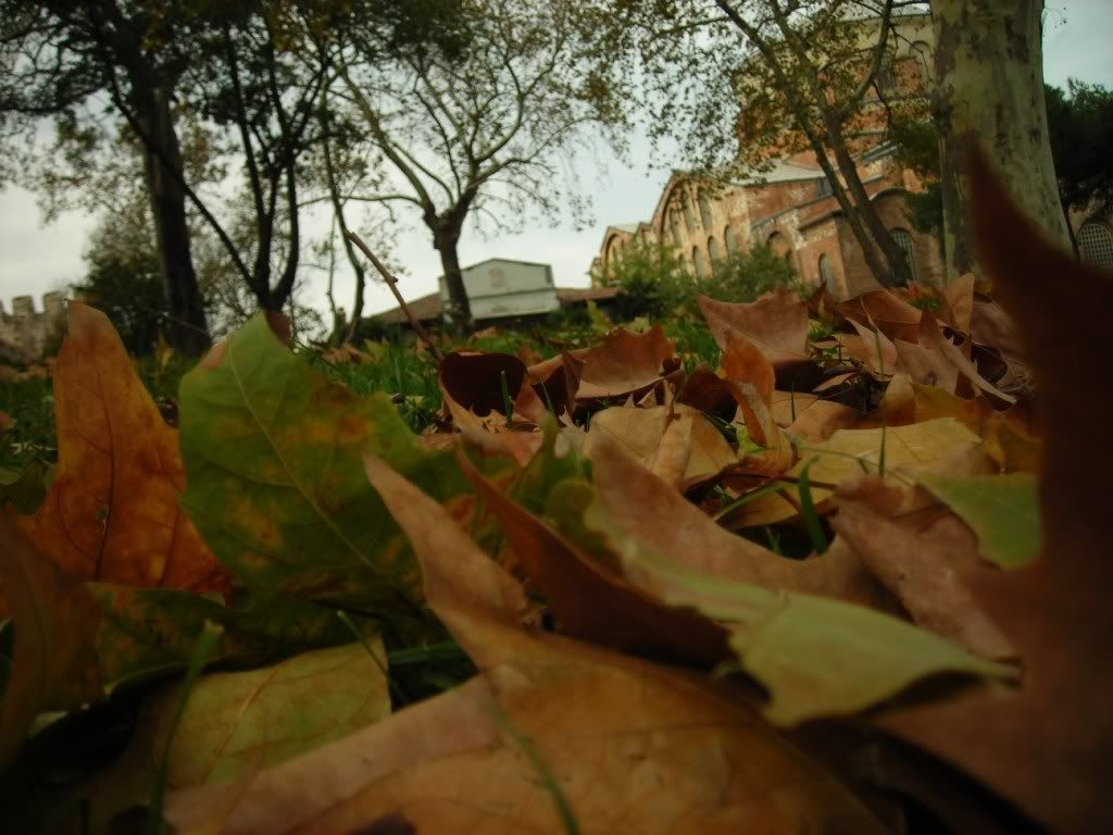 39274d455174b00300c4d39b051aca3a.jpg