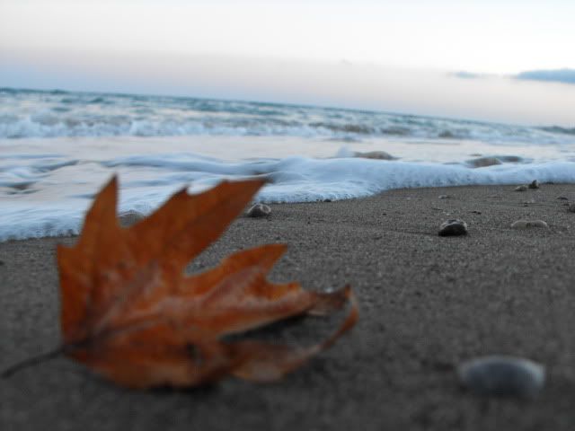 733951d087376a5703159d00186baf2d.jpg