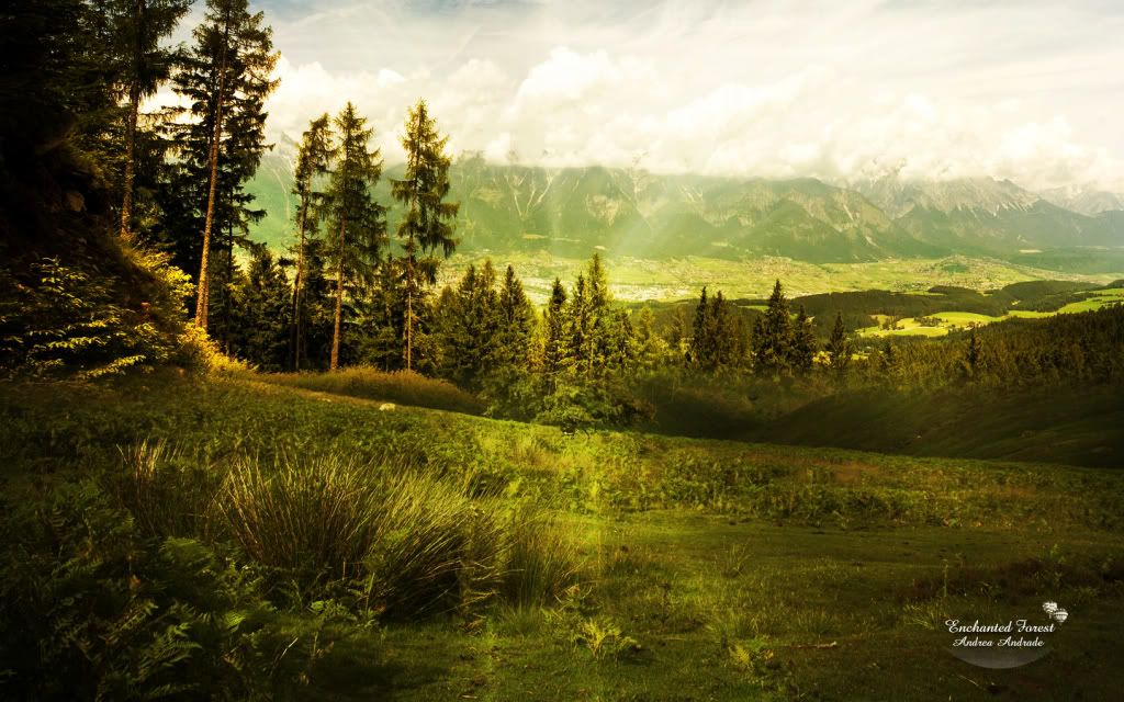 Wallpaper11.jpg
