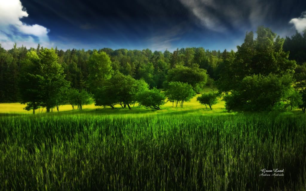 Wallpaper15.jpg