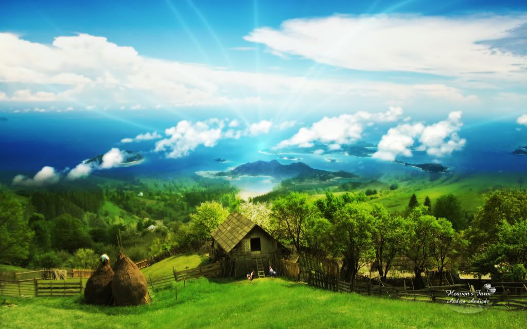 Wallpaper16.jpg