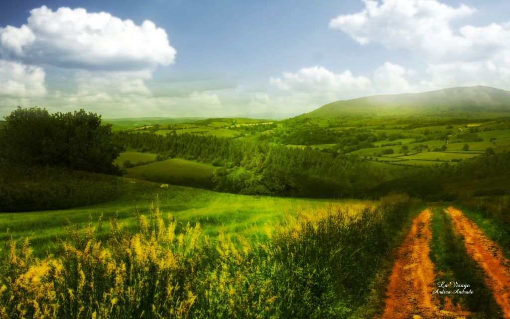 Wallpaper20.jpg