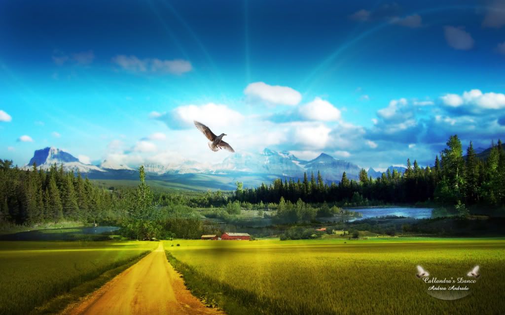 Wallpaper6.jpg
