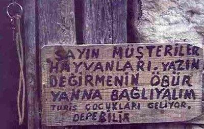 adsz.jpg