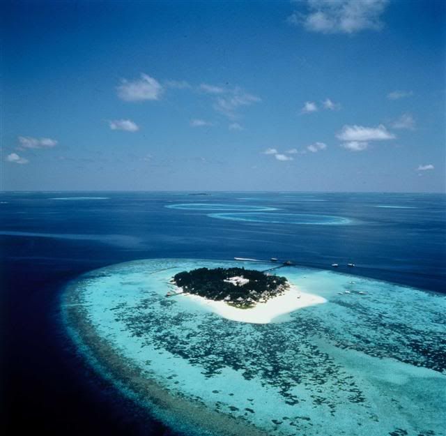 maldives.jpg