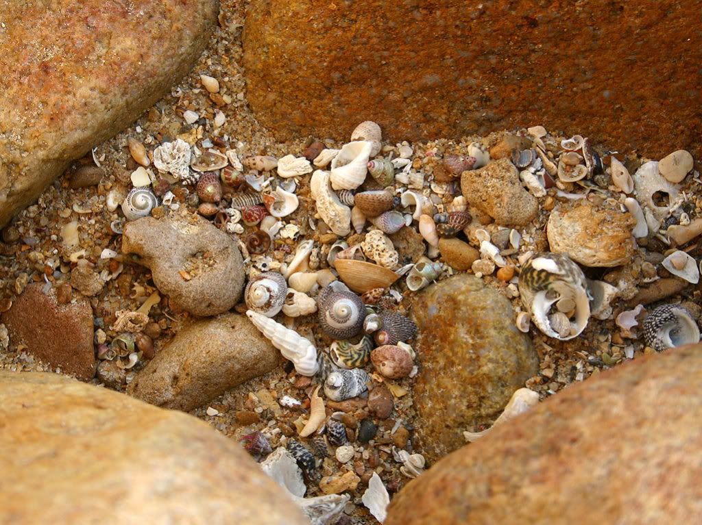 2904200859595_17.jpg
