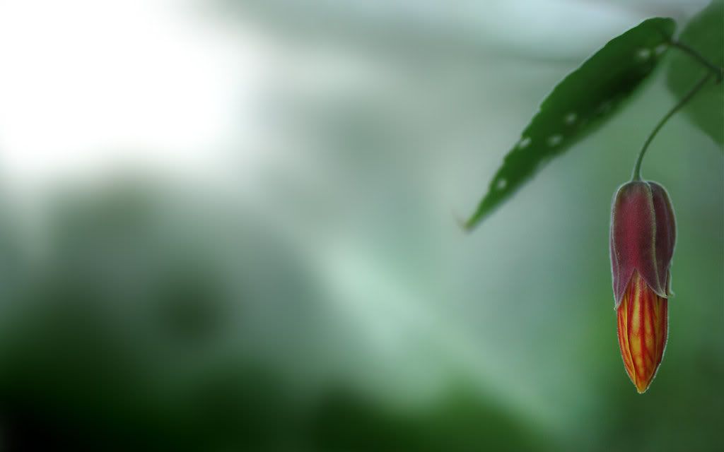 2904200859595_25.jpg