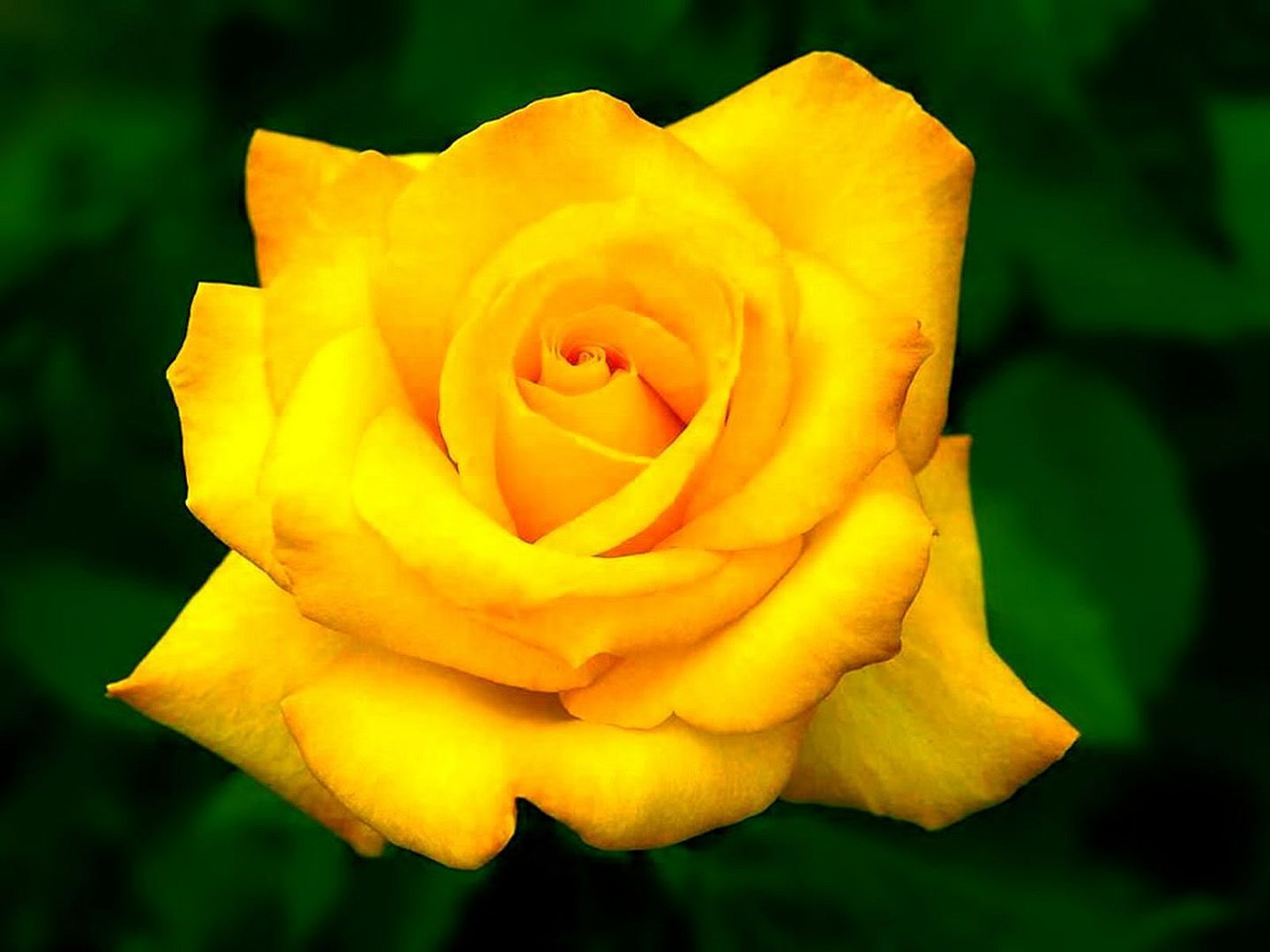 303107b6.jpg