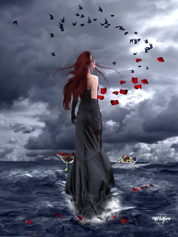 Petals_on_the_Wind_by_Wildfire2003.jpg