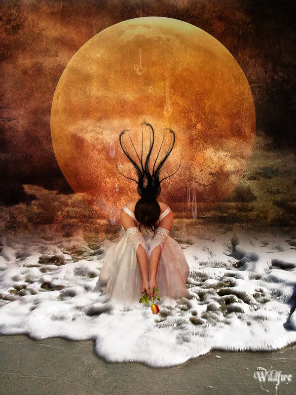 Tears_From_the_Moon_by_Wildfire2003.jpg