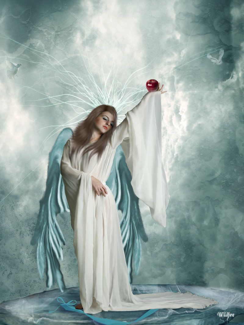 Temptation_by_Wildfire2003.jpg