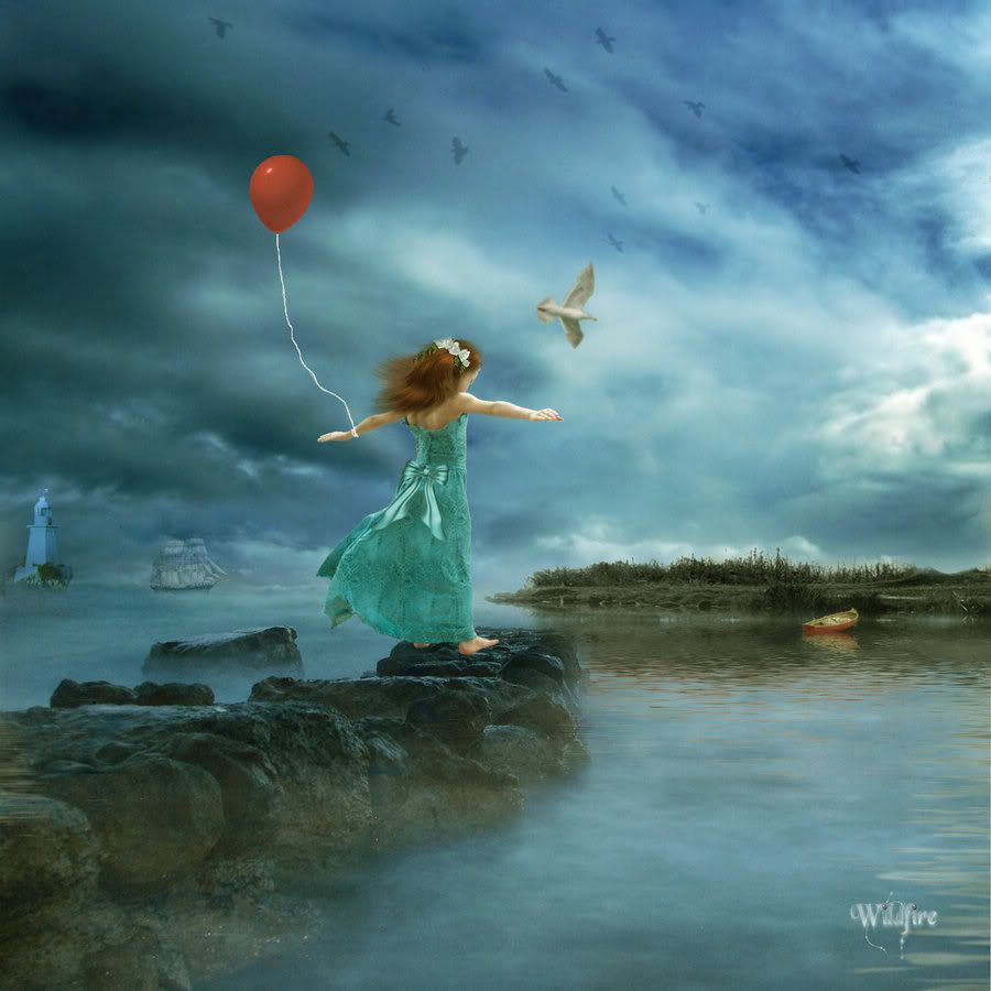 The_Art_of_Flying_by_Wildfire2003.jpg