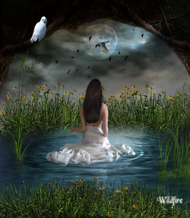 The_Bath_by_Wildfire2003.jpg