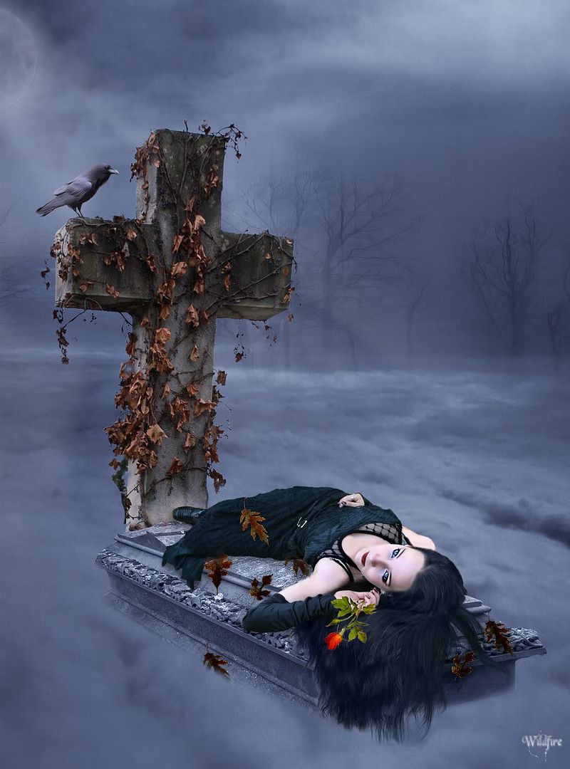 The_Long_Good_bye_by_Wildfire2003.jpg