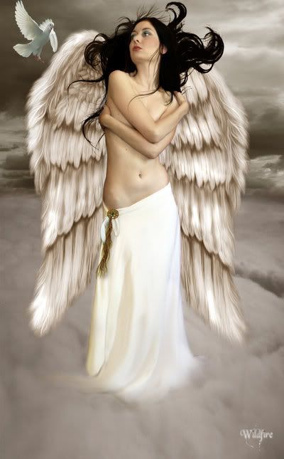 The_Lost_Feather_by_Wildfire2003.jpg