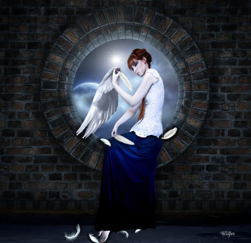 The_Weaver_by_Wildfire2003.jpg