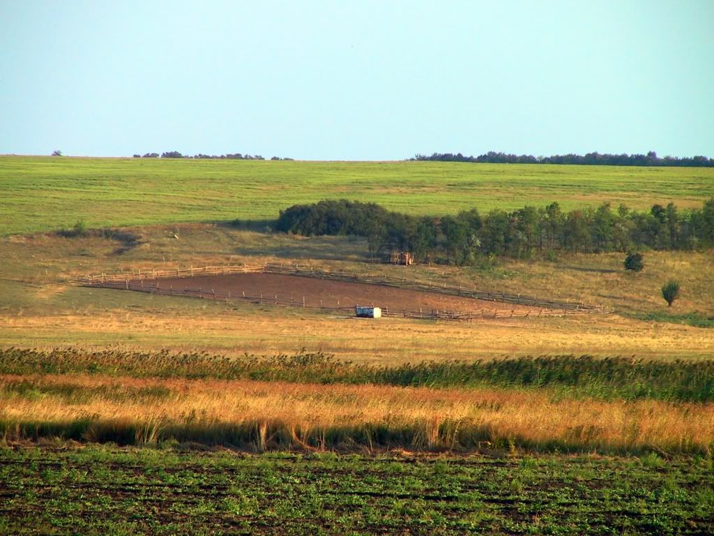 d_08_030.jpg