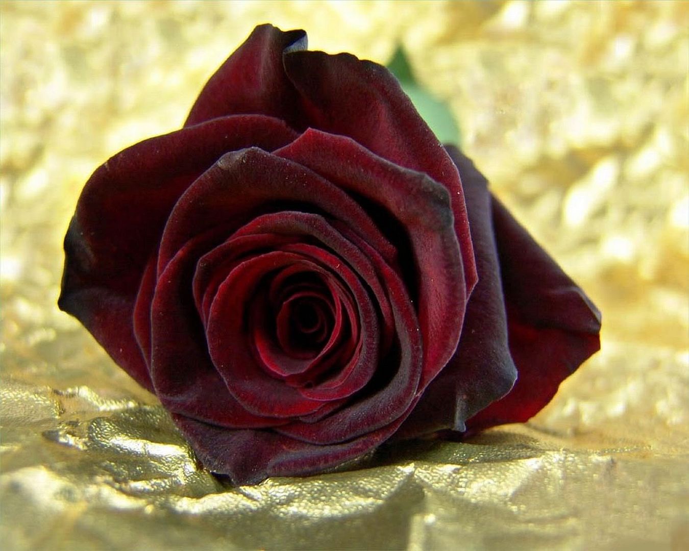 e4781f2c.jpg