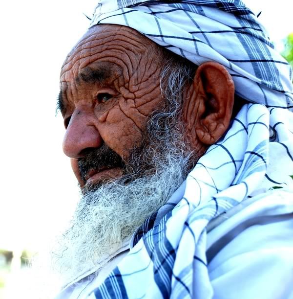 hayatin_cizgileri.jpg