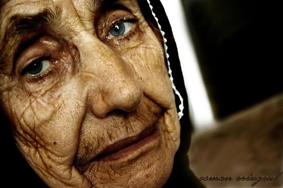 hayatin_cizgileri50.jpg