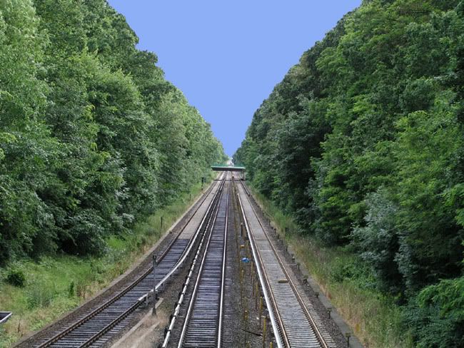 perspektif5.jpg