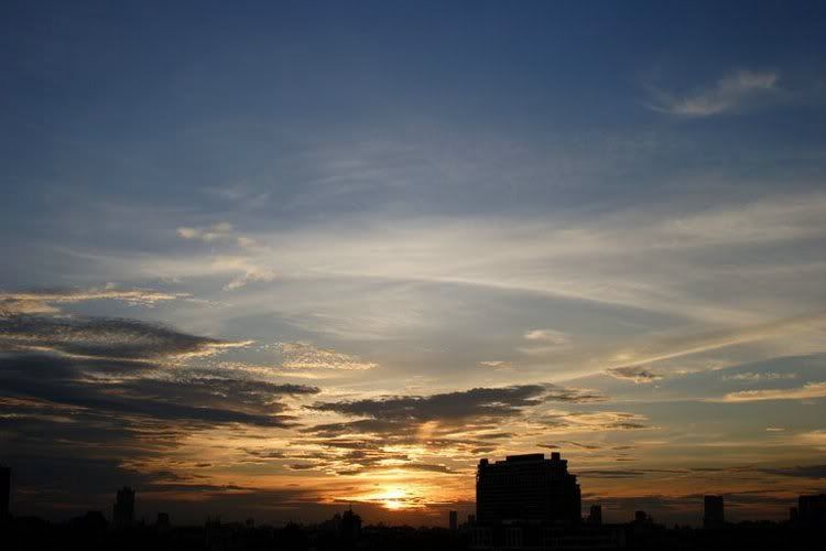0303200859031_21.jpg