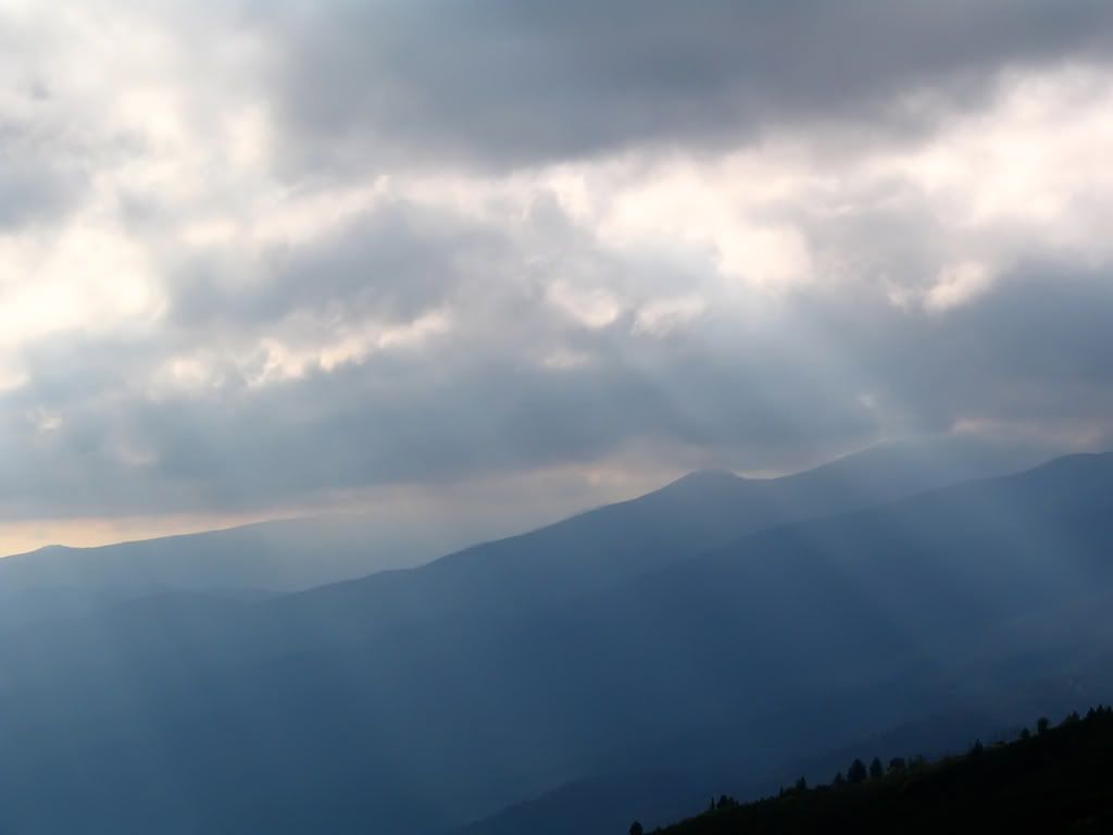 0505200840316_39.jpg