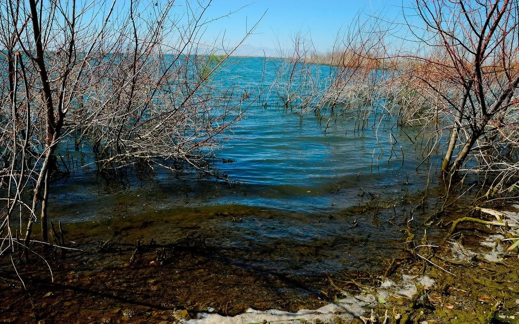 130220083612_01.jpg