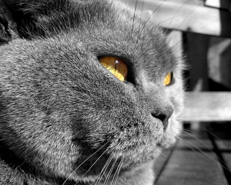 2002200853918_03.jpg