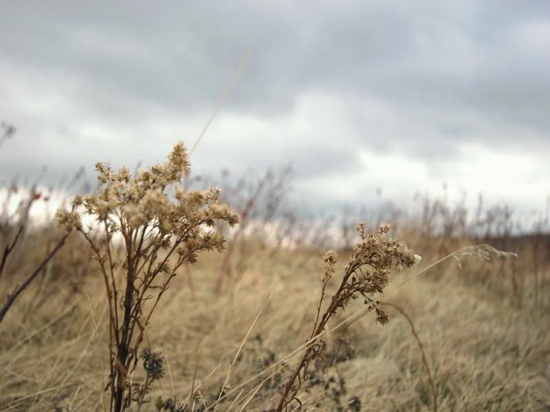 2002200853918_16.jpg