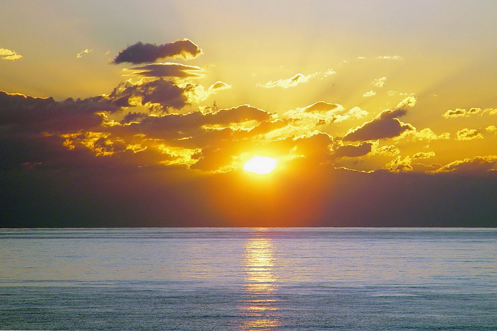 d40c70e0.jpg