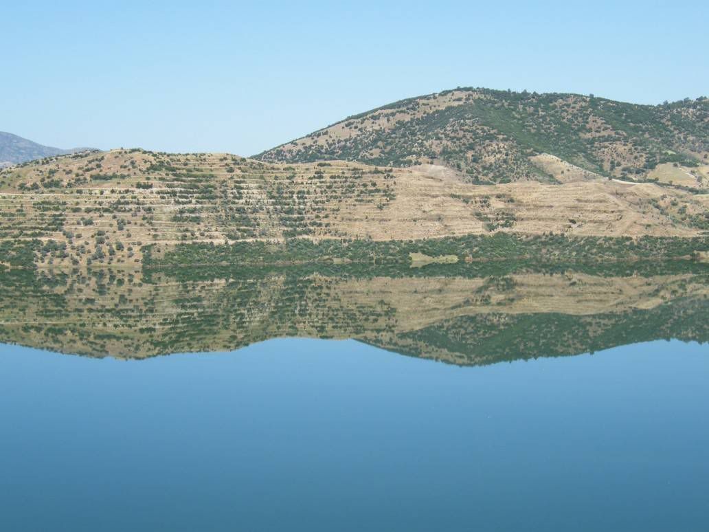 yansimalar15.jpg
