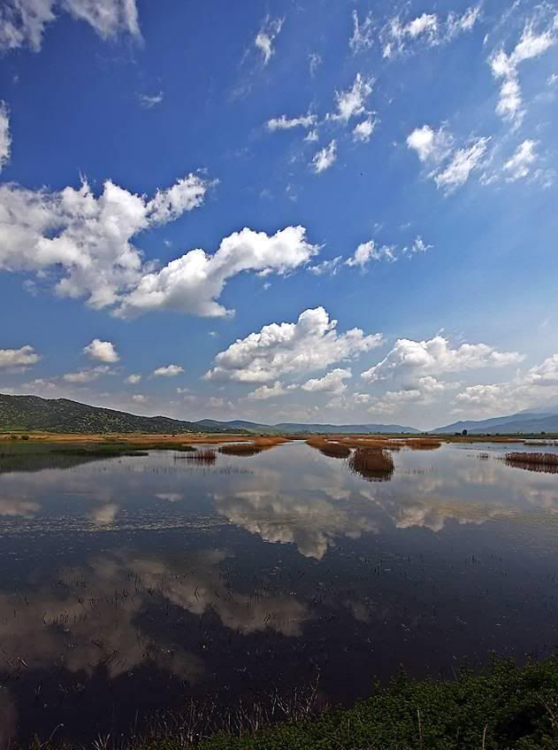 yansimalar37.jpg