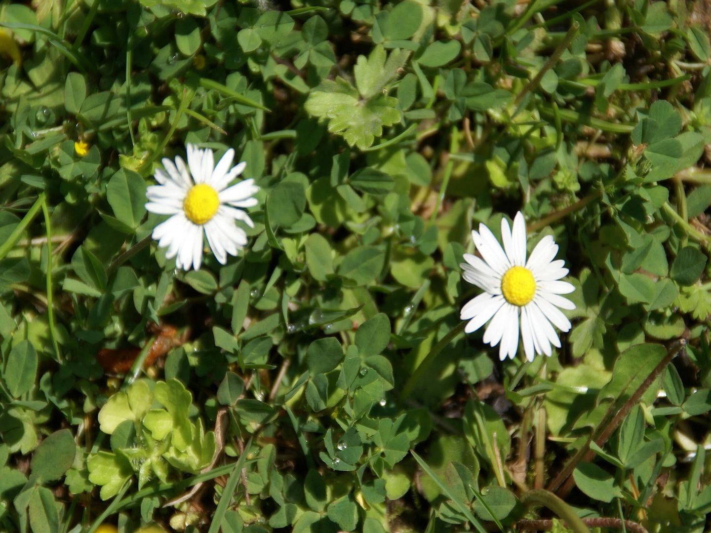 99f48d86.jpg