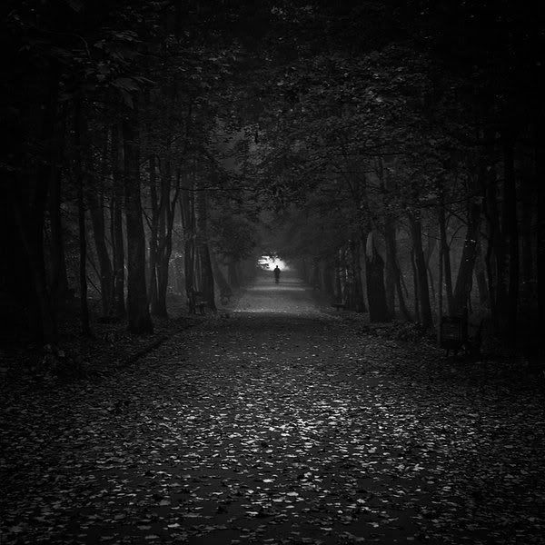 alone25jc4.jpg