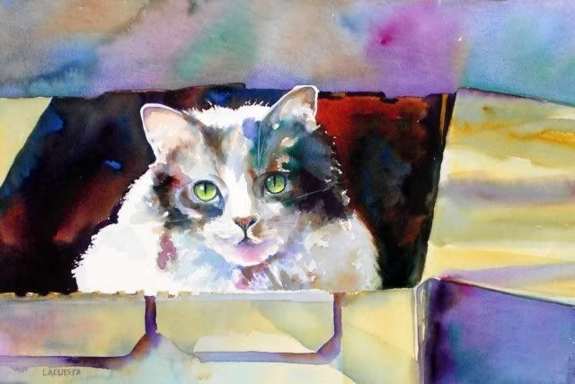 040517_cat_in_the_box_enh_001.jpg