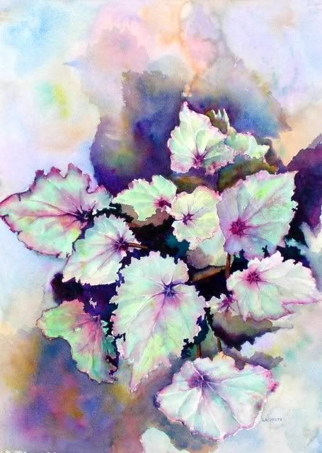 050113_begonia_leaves_1_enh.jpg