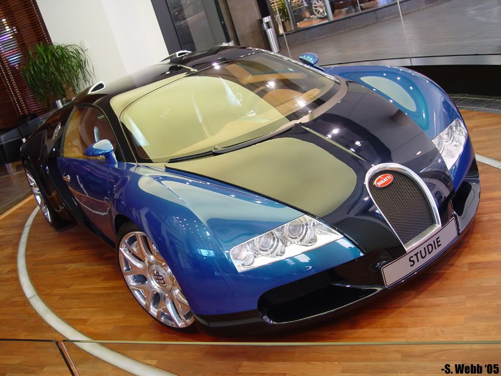 20091127152344.jpg