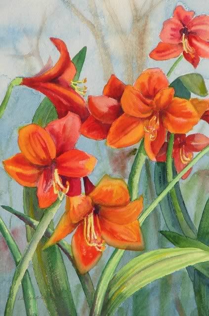 Amaryllis_001.jpg