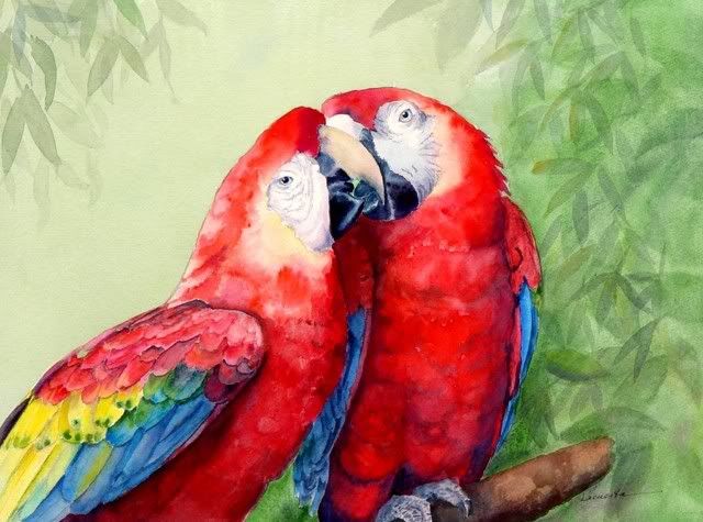 DSC05588_courtship_E.jpg