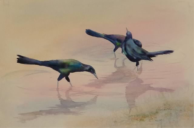Dawn_Grackles_sun.jpg