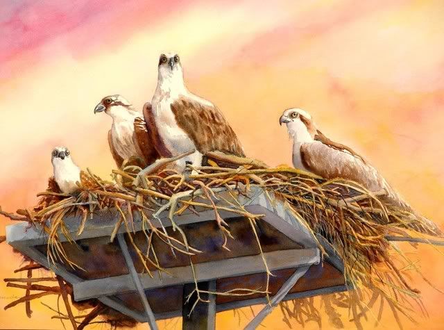 Hunter_s_Nest_E.jpg