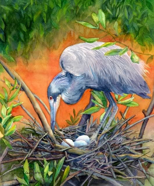 Little_Blue_Heron.jpg